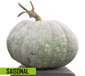 Kürbis *SAISONAL*